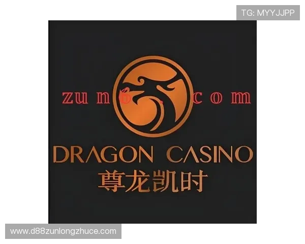 尊龙凯时完美体育百家乐官网专业的技术团队，保障平台稳定运行与优质服务