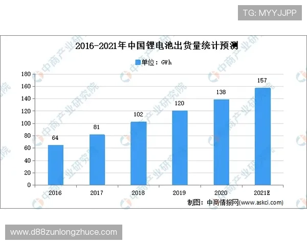 尊龙集团(Z6)的财务报告分析及未来发展预测