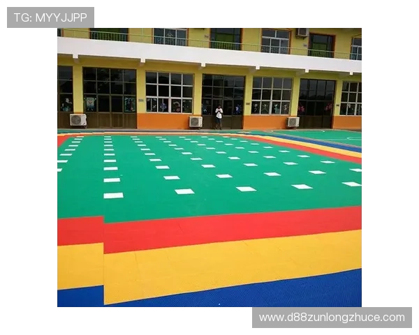 揭开d88尊龙app的隐秘，了解其背后的运营模式与团队