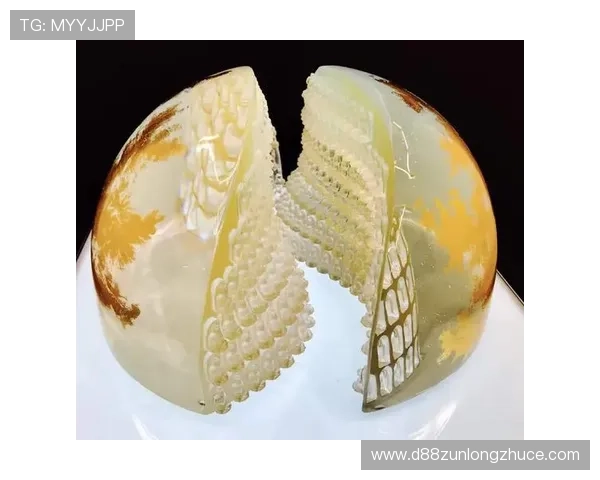 尊龙凯时国际登录账号注册指南，详细步骤帮助新手快速完成注册流程