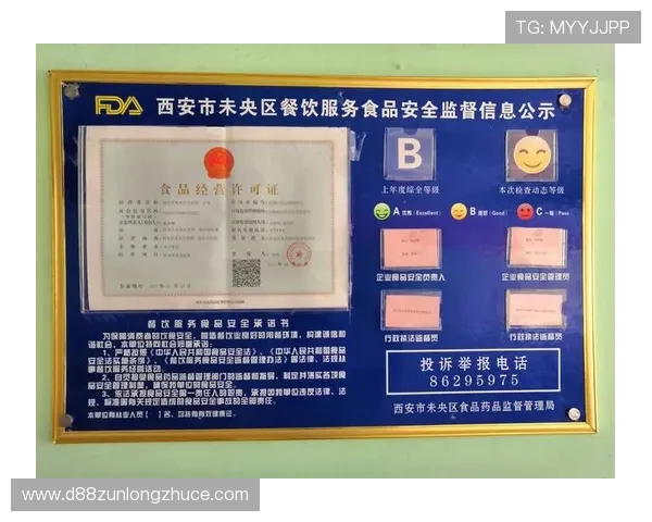 尊龙游戏城安全保障措施：保障玩家信息与资金安全的全面措施