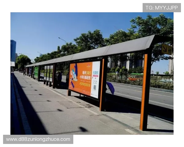 D88尊龙会员的用户评价与反馈，真实体验分享帮助你做出最佳选择